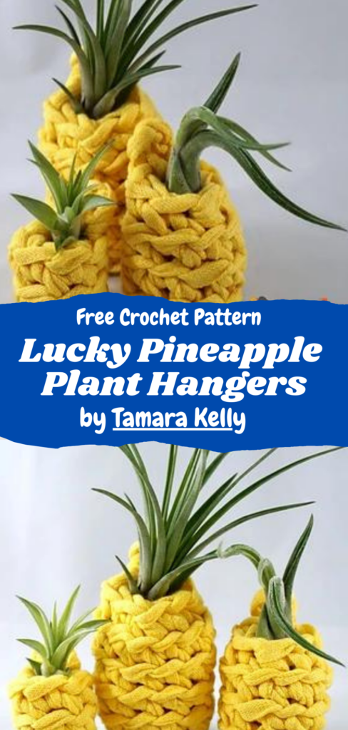 crochet_pineapple_plant_hanger