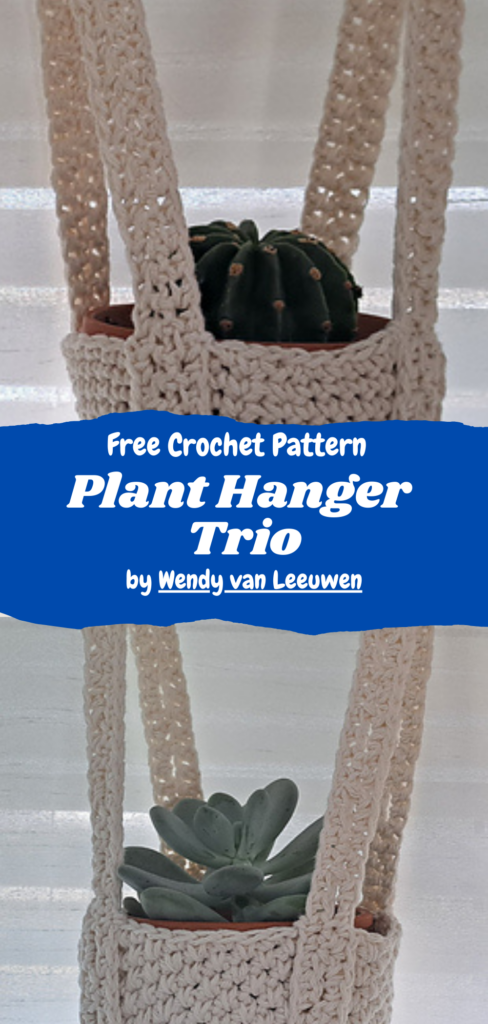 plant_hanger_trio