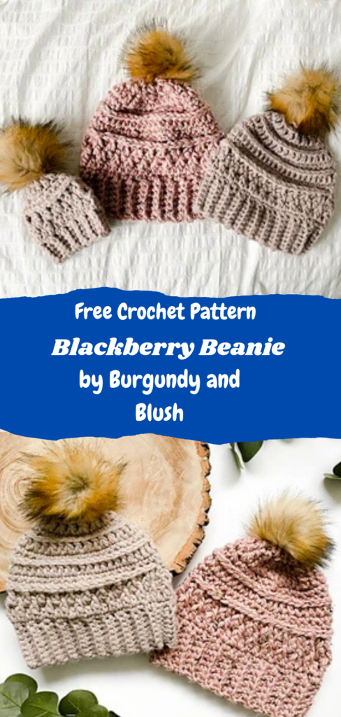 crochet balckberry beanie