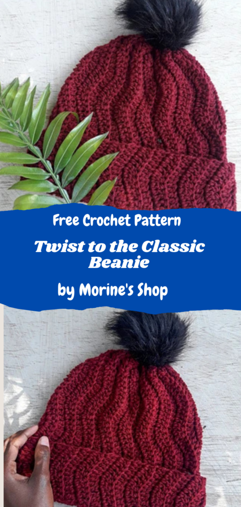 twist to the classic crochet beanie